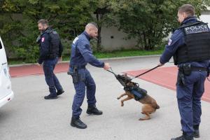 3ème édition des « Journées Portes Ouvertes » pour la Police Municipale de la Ville de Marseille